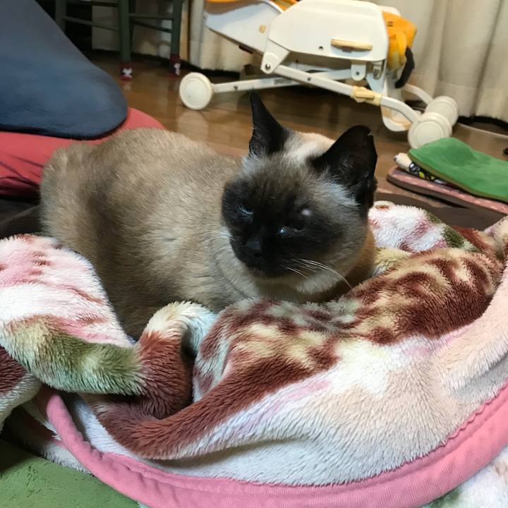 2976c667 550e 4ae1 9f20 8c428f466dcb 1525055182427