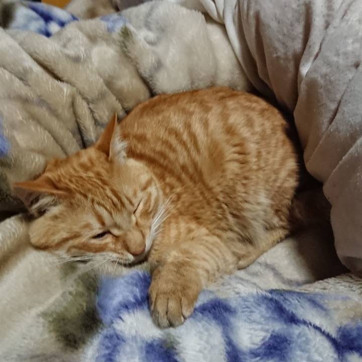 2976e3ca 323d 4ab0 b911 620d2d84a95d 1648471067719