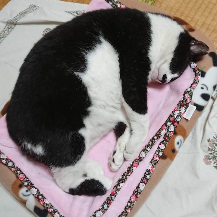 2977099d 615d 460a 882e 48a3c5bbf975 1601042529254