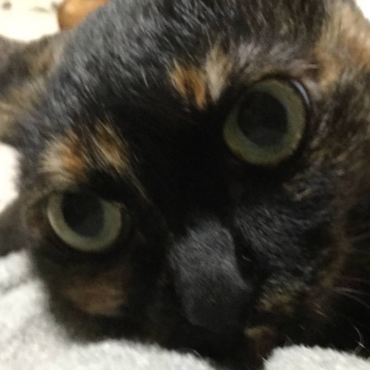 297727a4 ca32 4d92 bc9c caa46dee1545 1604711700904