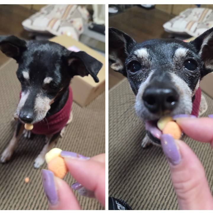 29775b09 2471 4735 bd4d 092a33d8fd0a 1761281195082