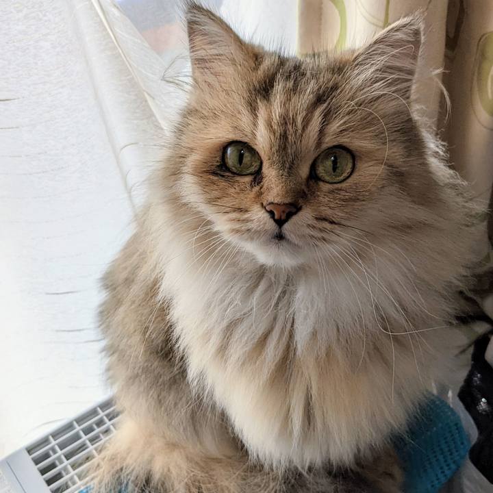 29775cf9 1736 4d52 9cda 184026580bd9 1662004441540