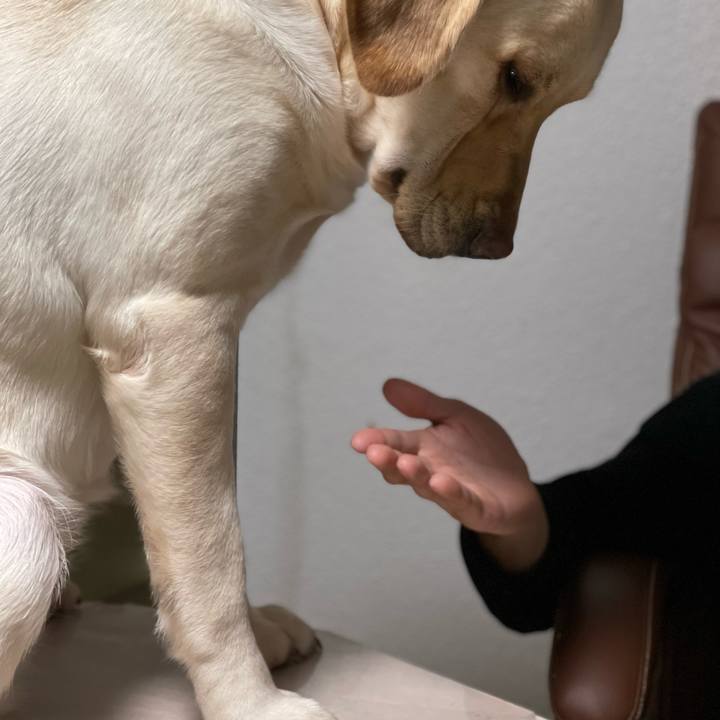 29777581 6195 4d6c b890 e5281d4c731d 1676861184807