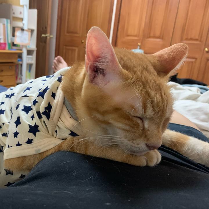 29777ca6 acc5 4bd3 bc46 9c7b82f179f7 1632055202285