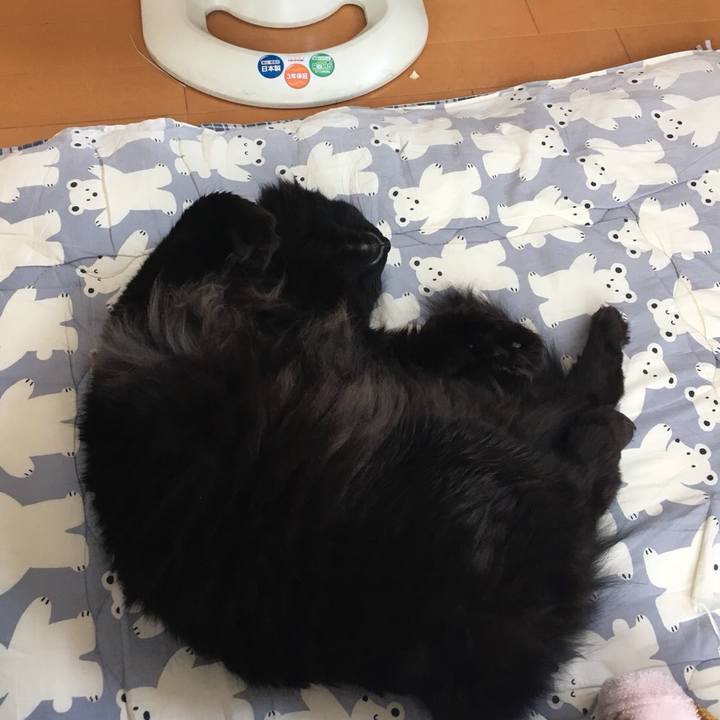 2977b5fe 2cf2 4316 9ec6 d7bbfc086ee1 1516851351092