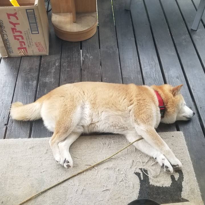 2977c3ae b92b 4103 8364 8f431e8173b3 1716867406051