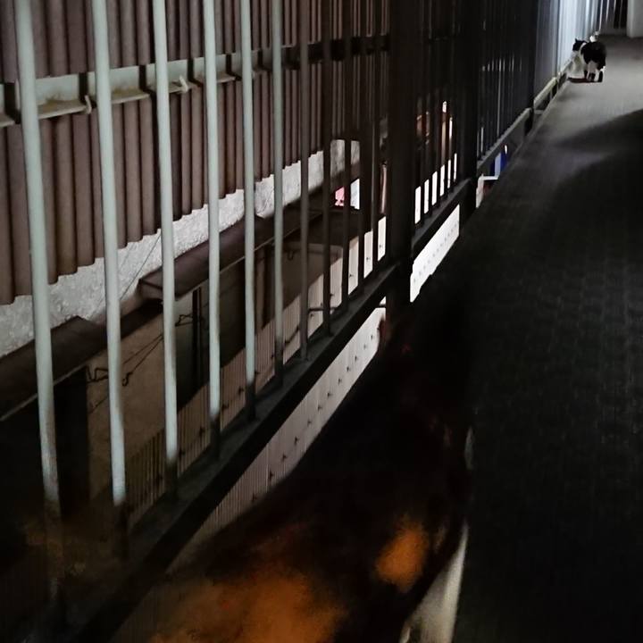 2978231a bf0c 43ba ba9a 271984d0e703 1667213642012