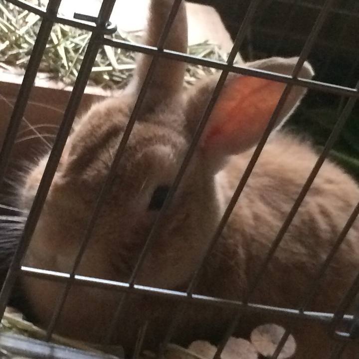 29782a77 738a 492d 9b73 43f8e3e5cd41 1564443557510