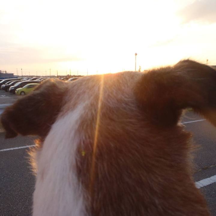 29789fc9 38bb 4d5c bc52 953aab77c940 1533296587653