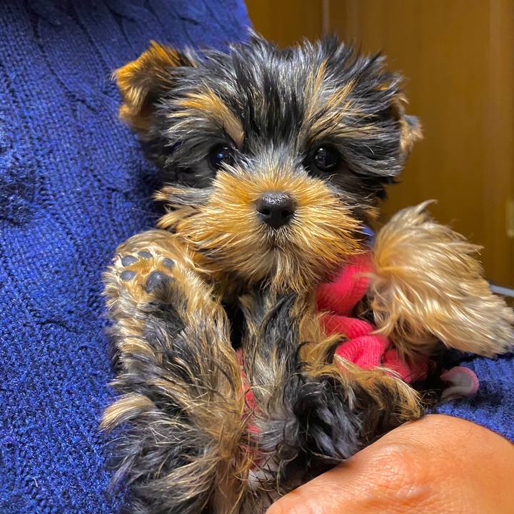 2978dc14 53be 426a 8d58 10be32ec5c62 1644926745150