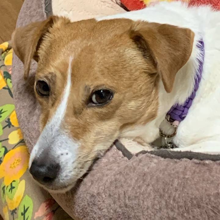 297905ed 43ed 441d 93c0 aae0c8093572 1578654530065