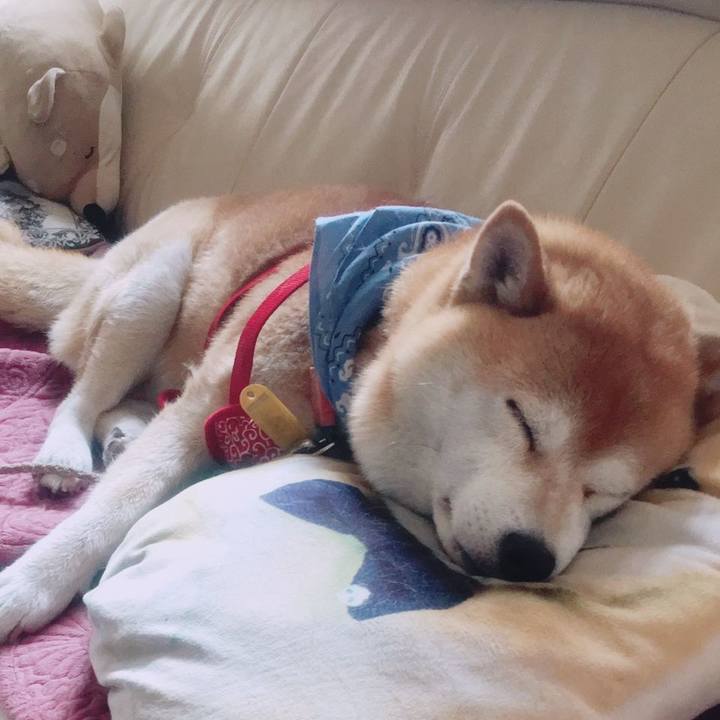 29790a41 d60b 4b12 923b 28ac6f202ff7 1561089116830