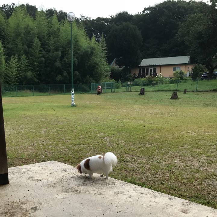 297920ce 060f 4943 9088 646aafd3d908 1565696139406