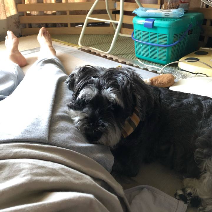 297938a1 5b77 4a79 af79 396cc43ddb40 1659148663910