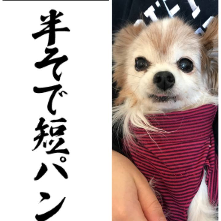 29793fc9 3a96 41b1 91e6 c83508e8ea18 1514896676482