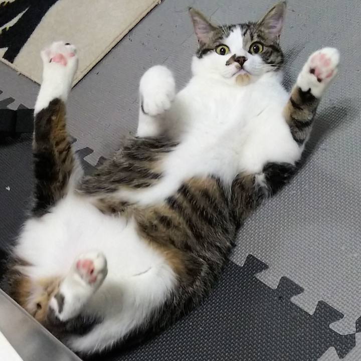 29795dbc d1b5 4519 af9c 12d34fce4d1d 1622346170315