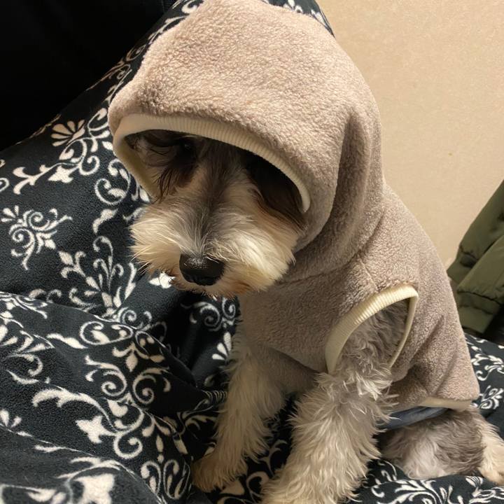 29796021 a159 460d 93a2 ce9965e00a02 1575211716805