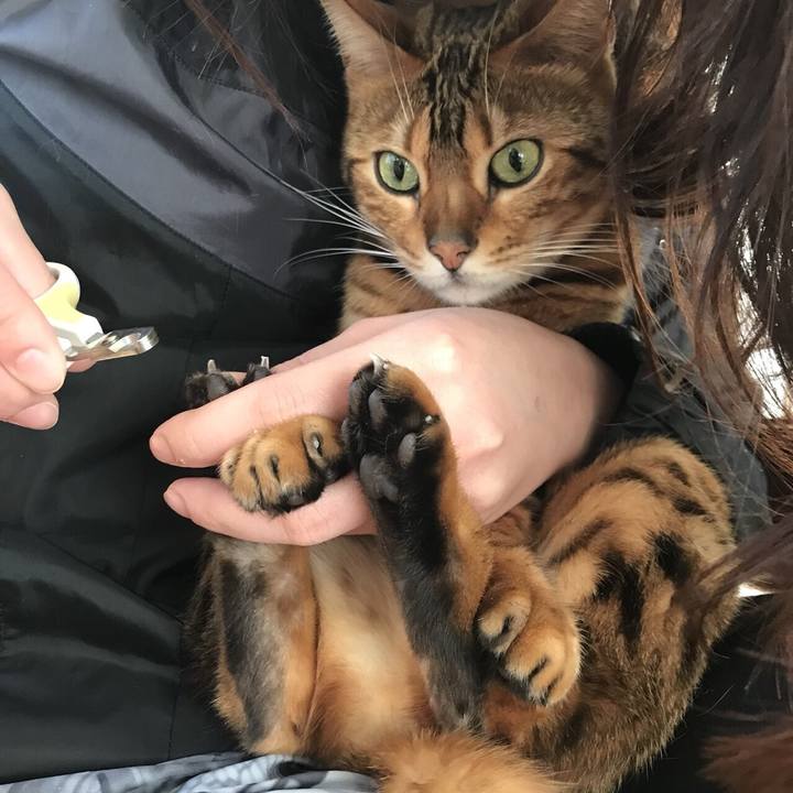 29797b04 dae0 4fe3 9ec8 c2ee959cefc8 1520699458863