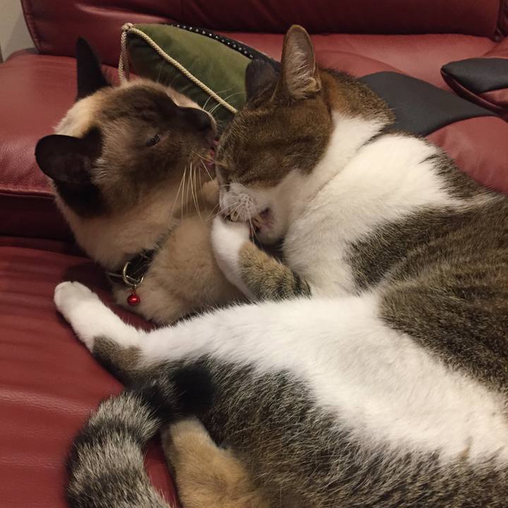 29797b10 cd05 47b3 882a 600aea589118 1507899821758