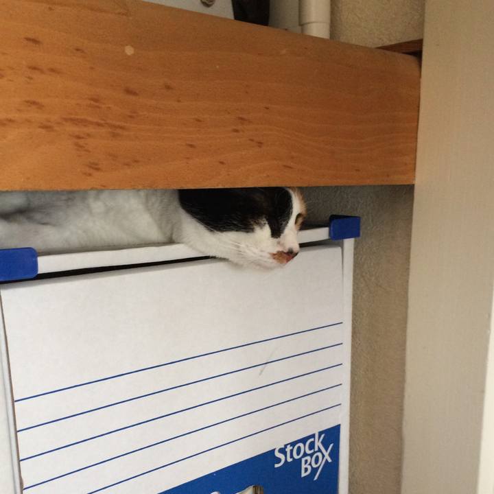 2979a11c 3e2b 4388 85b6 3befbfa993cc 1582524377366