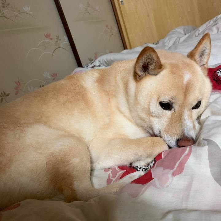 2979a248 d989 49ef 8539 1610f258b4d8 1651325208951