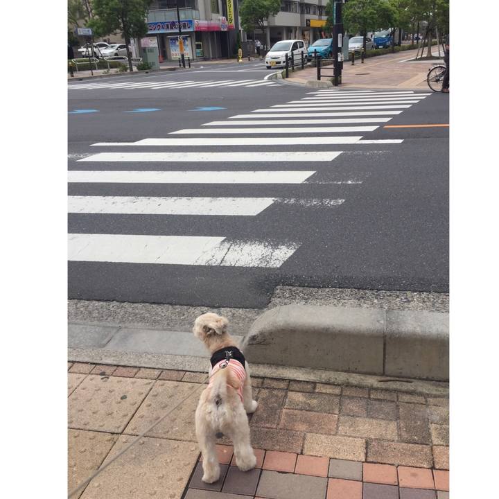 2979a4e1 0816 489b 9a90 648419f6537f 1536496171981