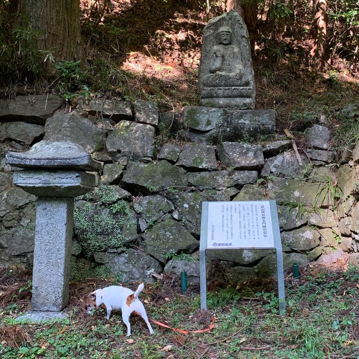 2979b9ea a4d8 40af bf92 4ee247b1c878 1573297192878