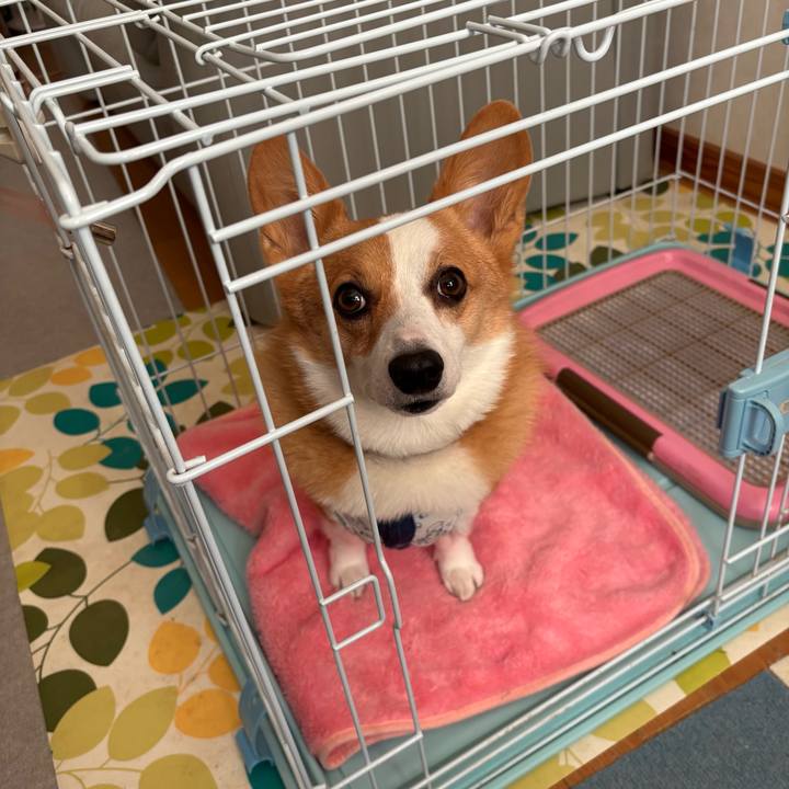 297a1566 2383 492f 912c 39d5ba86e274 1766922031445