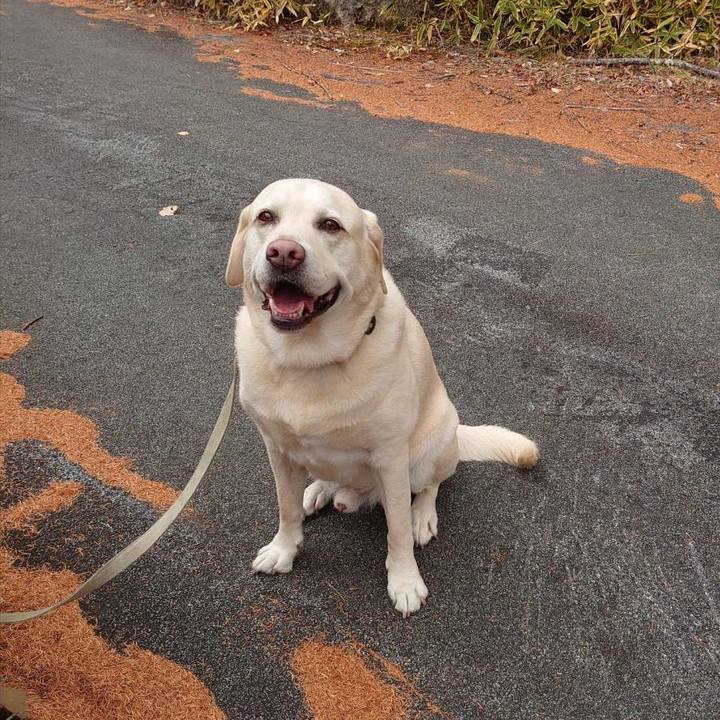 297a8e3e 05ce 4a6d 957c 774ae1847790 1699240137518