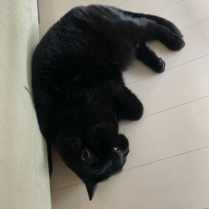 297a9f74 772f 4be1 b833 ccc891693c27 1624083200837