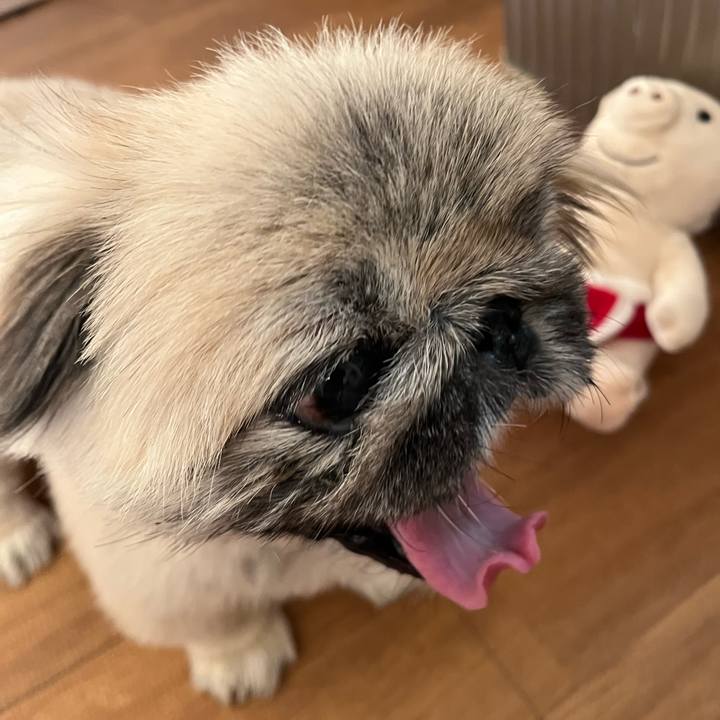 297ab03d b14a 444a 9475 55fcd089853f 1732746075453