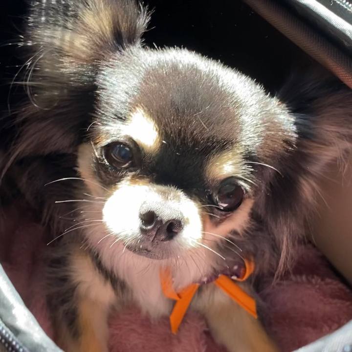 297ab0c4 a7d2 4c43 8b73 702d8c03bbe4 1602942294440