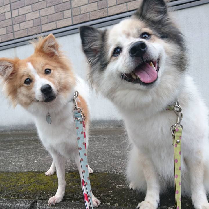 297ab2eb ebad 404d bac6 463bc609357f 1537528964468