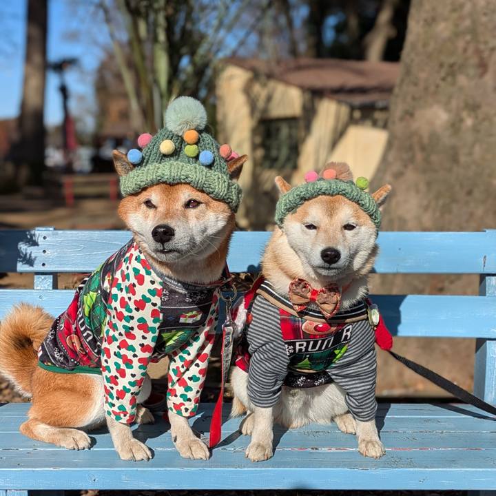 297ac7fd b3e5 4c9f a7a0 023d969c35f9 1734924219055