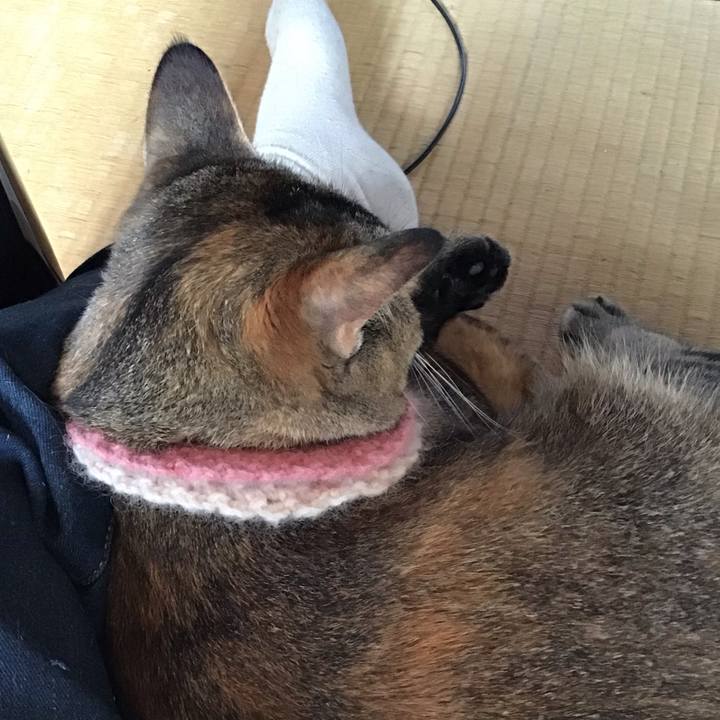 297ac808 7a2f 4f29 9e04 8f1b1e839567 1627603811215