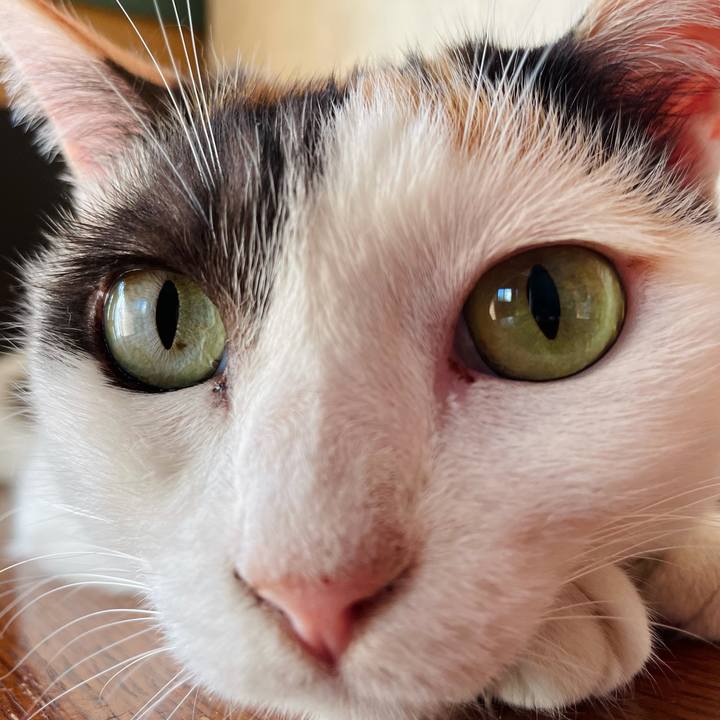 297aeea2 3c0c 4d47 ae5e a66d2c9b17bd 1630112760154