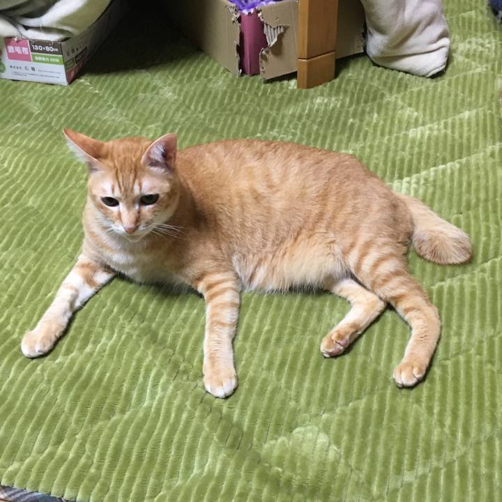 297b1a98 8a7a 4876 a96a cb5dd0bc41e9 1542713365100