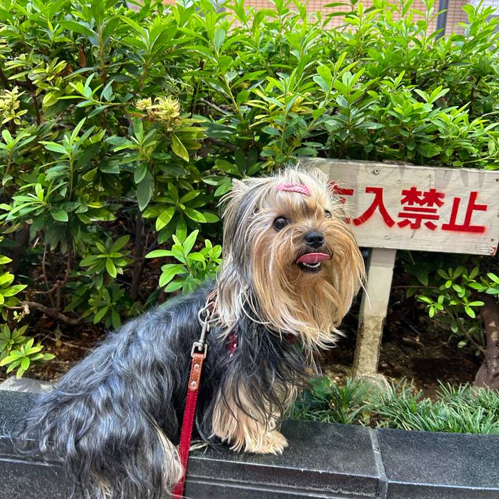 297b4cbd 081b 453f b53e 9293d306a274 1692090796339