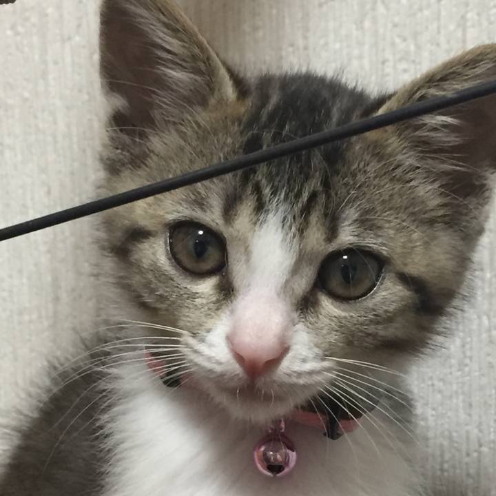 297b5f03 694b 4ee4 8d9f 1d7157955769 1654125947451