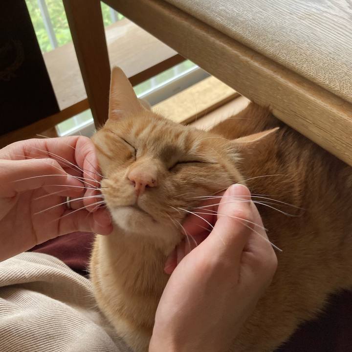 297b6fcc d15f 4215 b349 bf6b4a3499bc 1618526699484