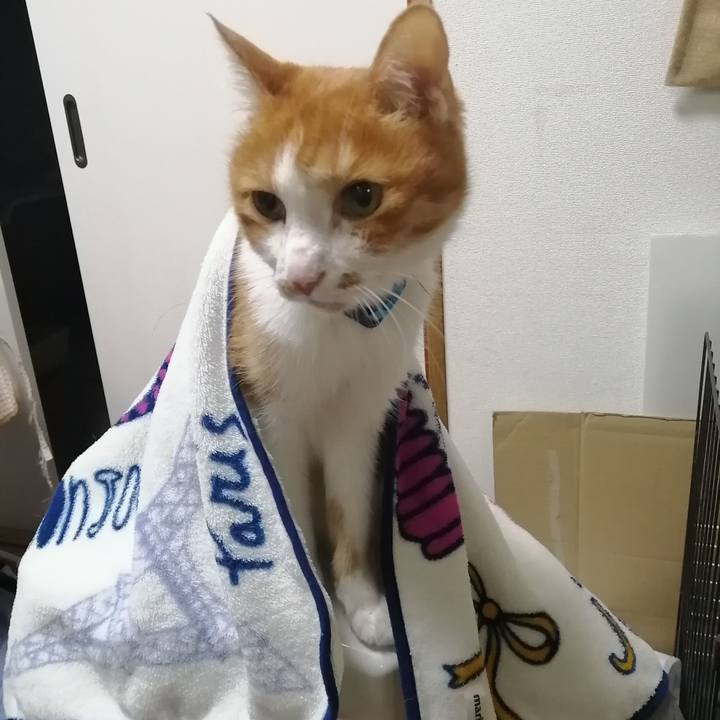 297ba278 f513 4e3a b6bb b7db18182d59 1628768546854