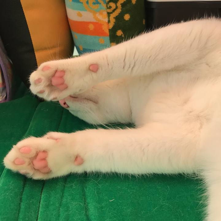 297bdcfb 9290 4fb3 b489 7acd8efb4630 1536798617319