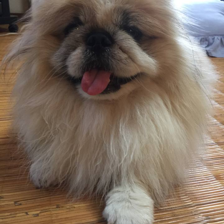 297c0798 c596 447f 9d84 e5b91ae9070b 1529831595371