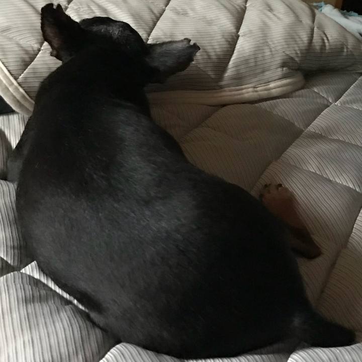 297c18ff 5b2c 43d2 ab9e e250aef8ad36 1533768978402