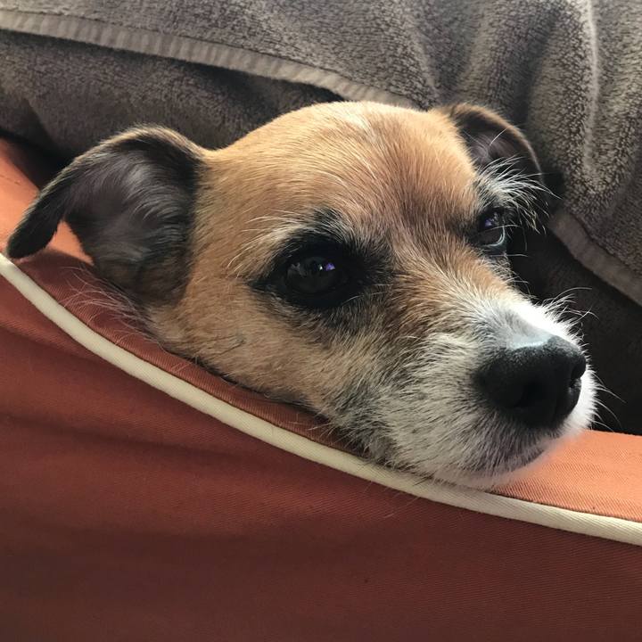 297c1d0b ee54 4601 9d3a 431365bd2b9a 1527807019895