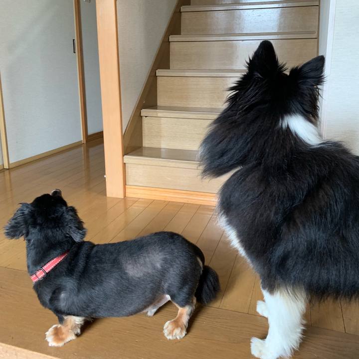 297c28d2 b625 4ce0 9b93 81047a7b9269 1563145091605