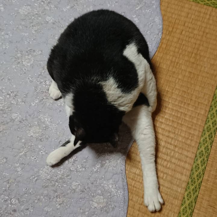 297c2b80 b58d 4610 84ee 1cda5507853f 1582245824026