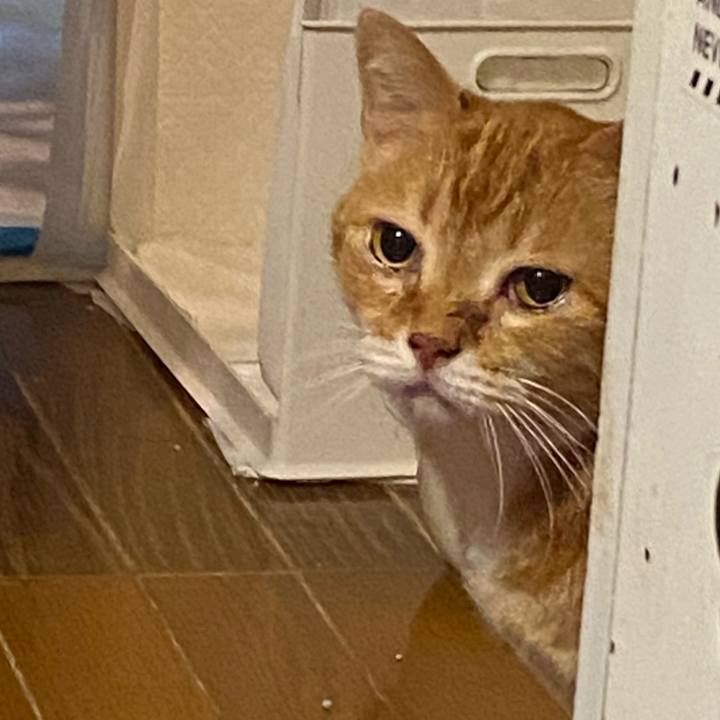 297c466a 0195 4b9e bf78 b2db8df6591a 1618507119912