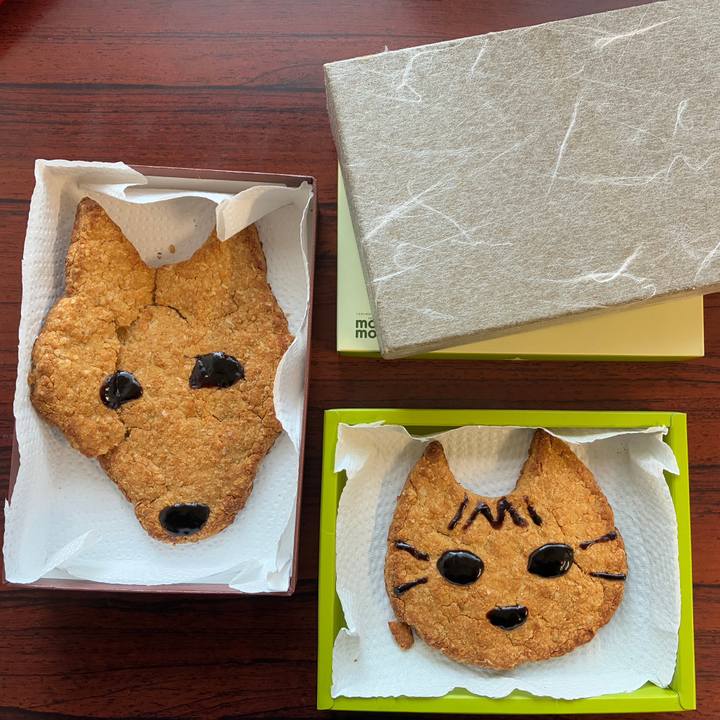 297c62a4 0709 4937 b6e3 cf28e4cd5f42 1767314055216