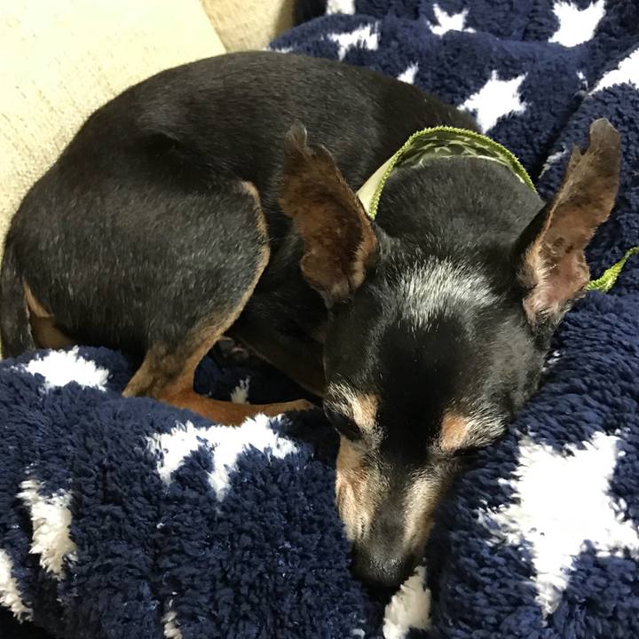 297c8599 a146 49c0 9ae2 a2e81cd4df94 1538395193273